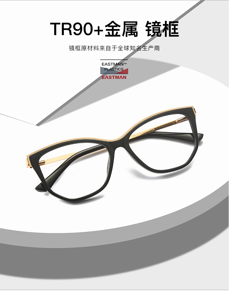 Optical Frame Detail