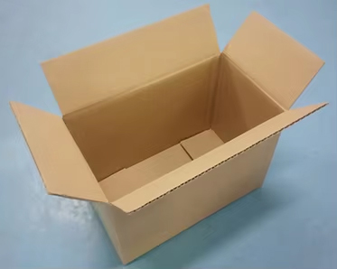 Product Packaging Option