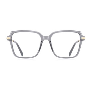 Stylish TR90 Metal Frame Optical Spring Hinge