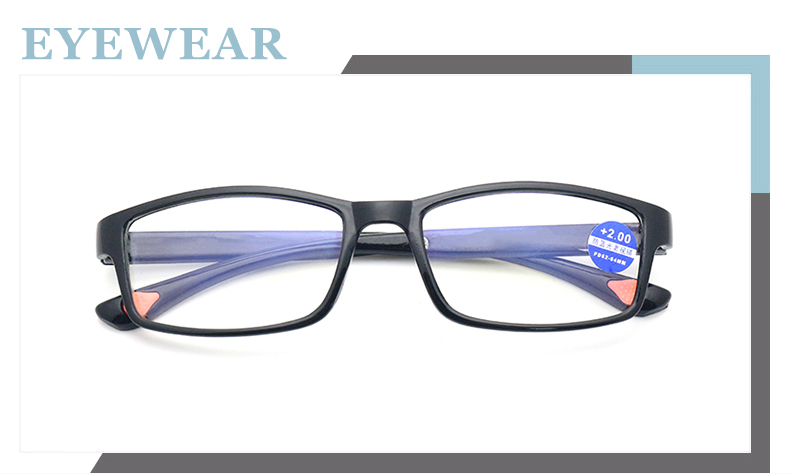 Eyewear Model Detail 1